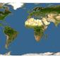Discover Life: Point Map of Corybas dentatus
